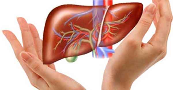 hypertension MASLD MASH