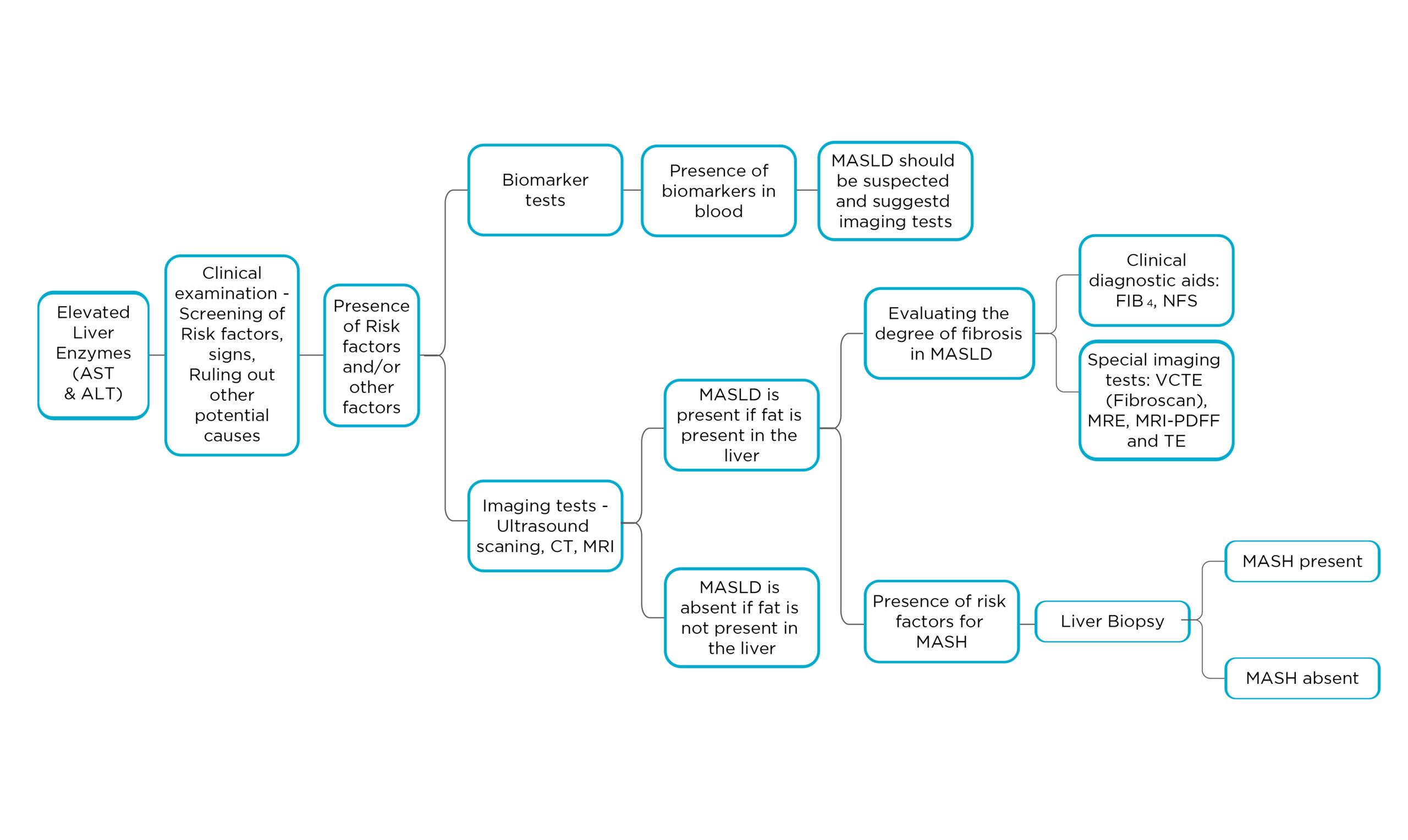 MASLD MASH management